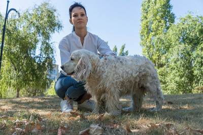 老猎犬和主人年轻女子在公园玩了一天。