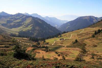 在山里