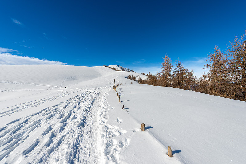 意大利威尼托莱西尼亚高原冬季的雪顶山