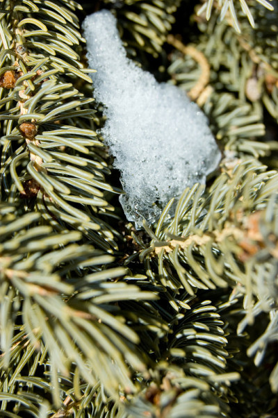 雪融化
