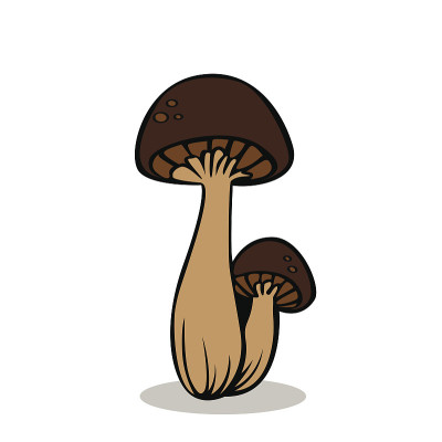 向量的蘑菇
