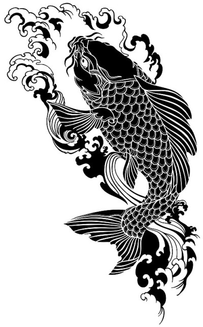 黑锦鲤逆流而上