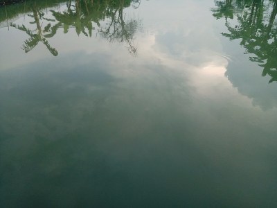 水