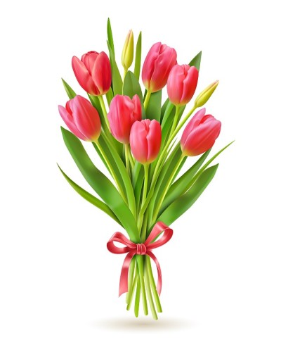 郁金香花束。逼真的3d春天荷兰花为国际妇女节3月8日，母亲和胜利日贺卡矢量图像
