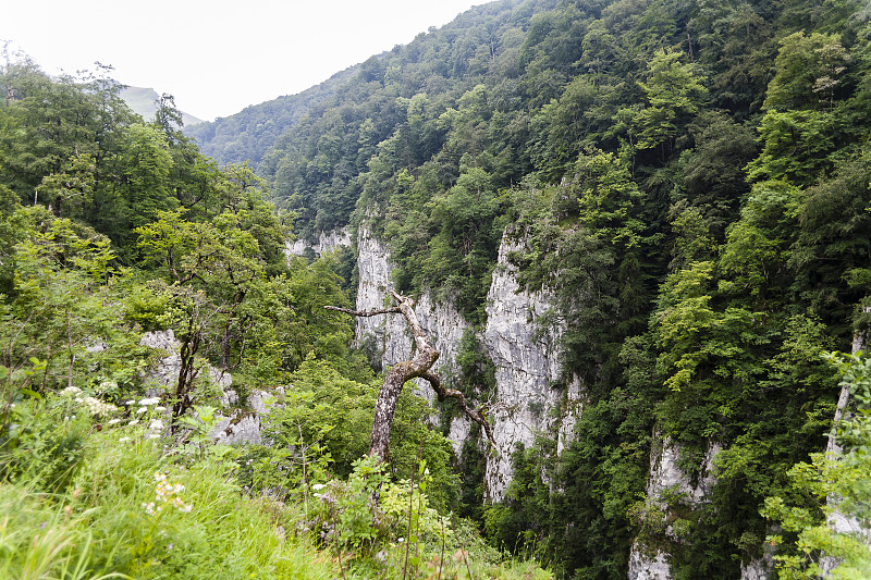 霍尔扎特峡谷，桥梁