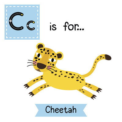 字母C跟踪。跳猎豹。