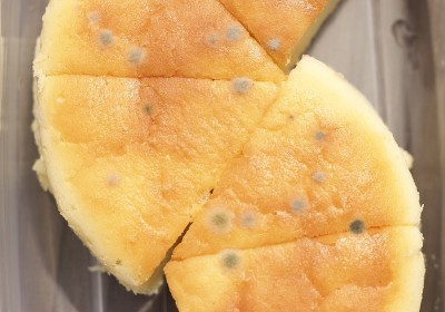 一组圆点模子上的美味看起来剩菜变质在冰箱里漂亮的黄色橙色的自制海绵蛋糕切片纹理在透明的塑料包装在家里