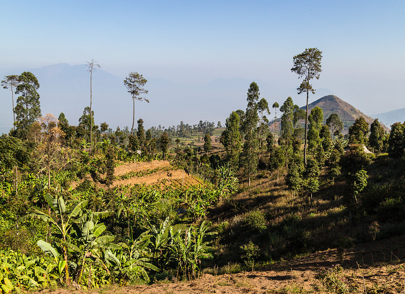 火山景观上的坡加隆贡火山在印尼加鲁特