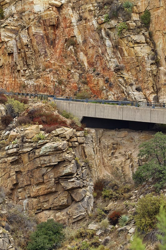 穿过莱蒙山柳树峡谷的卡特琳娜公路大桥