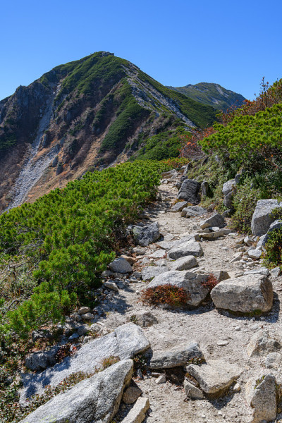 深秋的kisokomagatake山