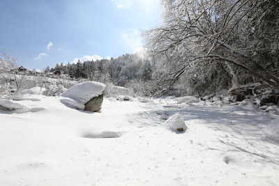 美丽的冬季高山白雪覆盖的景观。壮丽而静谧的晴天。(韩国江原道御田山国家公园)