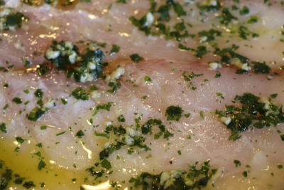 白色鱼肉