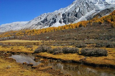 美丽的山景