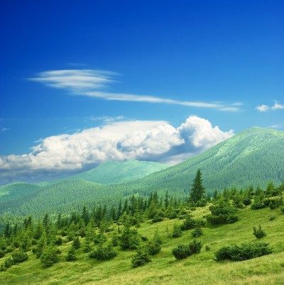 绿山景观