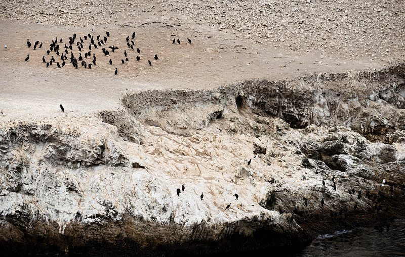 Point Lobos State Reserve