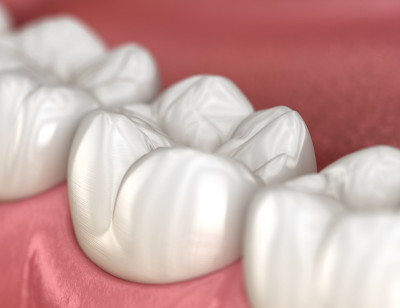 正常咬合的健康人类牙齿，宏观视图。医学上准确的牙齿3D插图