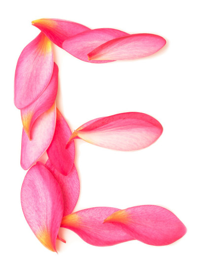 字母E