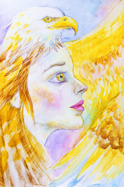 女鹰水彩画