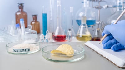食品安全专家在实验室检查时将薯片的分析结果记录在笔记本上