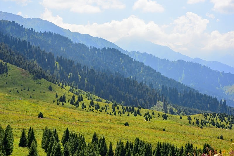 阿拉木图山脉夏季景观