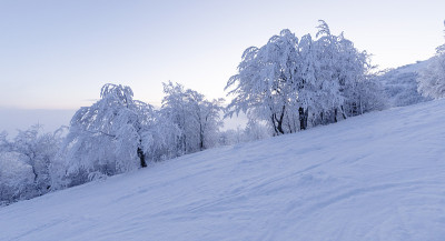 黎明在一个空旷的滑雪斜坡上。全景。