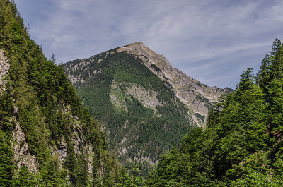 山和树在徒步旅行