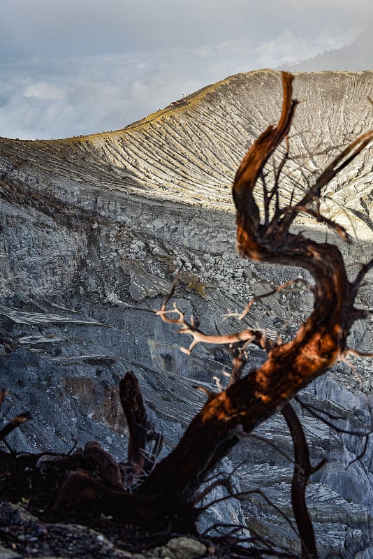 死木前景景深与美丽的风景行走在卡瓦伊真火山卡特，东爪哇岛，印度尼西亚。