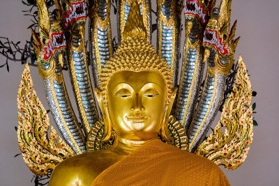 泰国卧佛寺的黄金佛像。