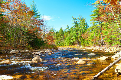 秋日Swift River