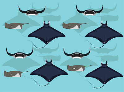 Various Mobula Manta Ray Stingray Vector Seamless 