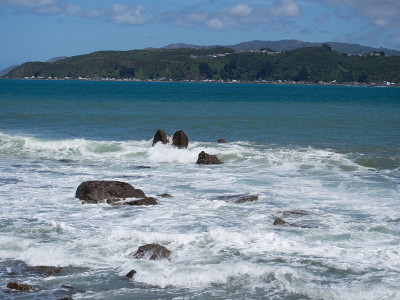 惠灵顿的海岸线