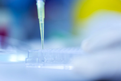 图片的科学家使用多通道移液管和多孔埃彭多夫板，概念科学和技术