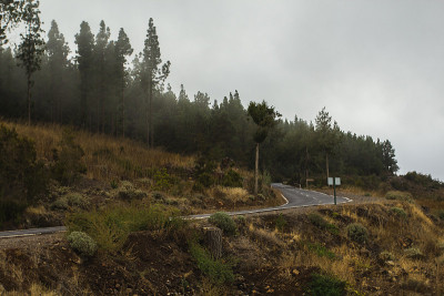 山路，泰德火山，特内里费