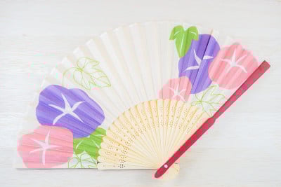 牵牛花的感觉画