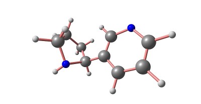 诺尼古丁分子结构孤立于白色
