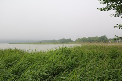 在德国宾茨岛Schmachter湖看到的晨雾Rügen