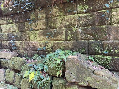 Sarushima岛在日本神奈川县横须贺旅游体育馆内。