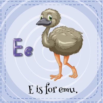 字母E