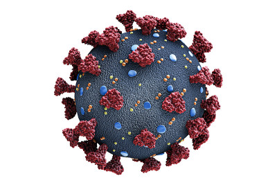 白底分离的冠状病毒或covid-19病毒细胞科学结构模型。微生物学、科学、医学、生物医学、生物学、病