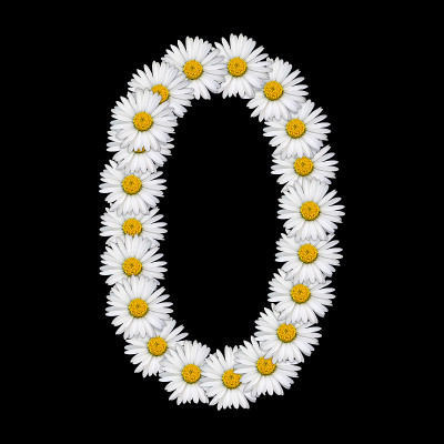 花数