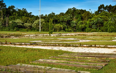 巴西巴拉那州托莱多市人民公园的花园(“Parque do Povo”)