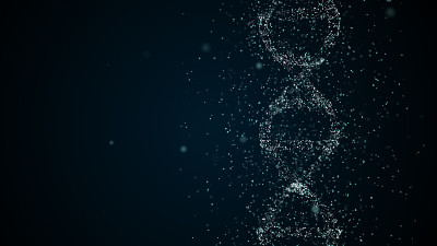 DNA编辑的概念是将新的片段变成DNA螺旋结构。