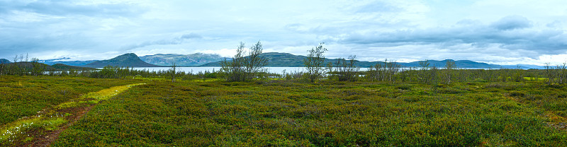 Tornetrask湖夏日景观(瑞典拉普兰)