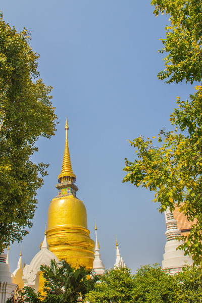 美丽的金色和白色宝塔斯里兰卡风格在Wat Suan Dok(花园寺庙)与蓝天背景。Wat Suan 