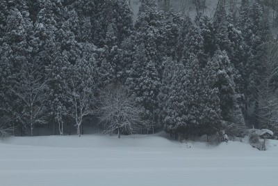 白雪皑皑的山村