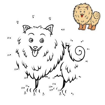 数字游戏，教育游戏，狗品种:博美犬