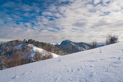 山天