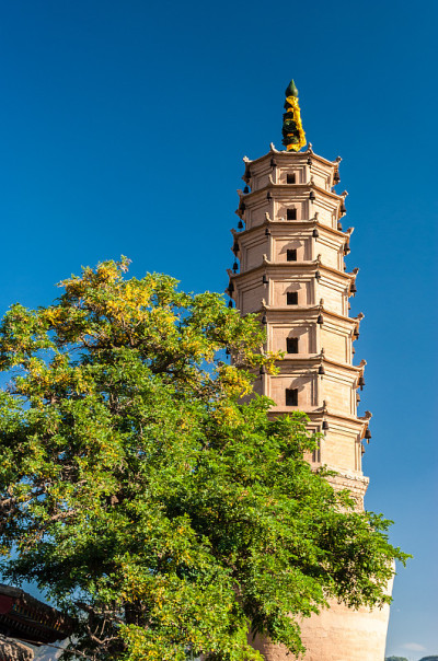 兰州白塔山公园的白塔(中国)