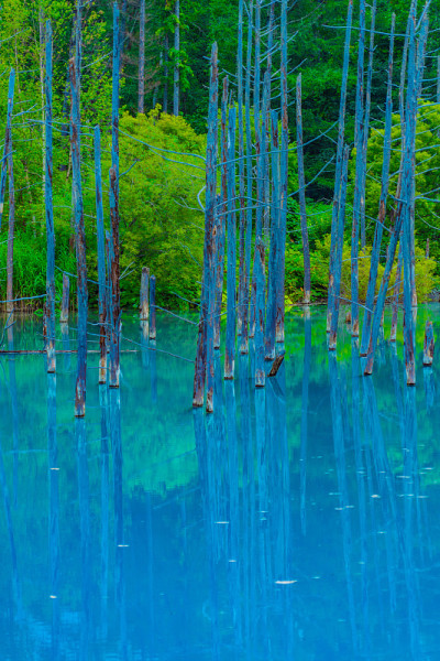 铂蓝池(北海道碧草)