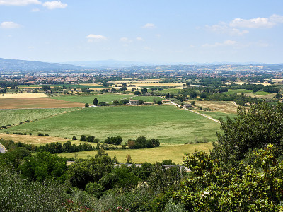 Asisi